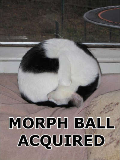Morph ball acquired